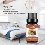 Skin Shaping Compound Essential Oil 50ml Easy Breathing Massage MSDS