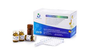 China LDH X Kit For Determination LDH-X Level Semen factory