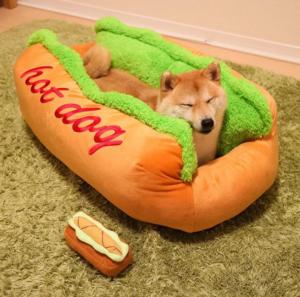 China Soft Fiber 0.8kg OEM And ODM Dog Lounger Bed factory