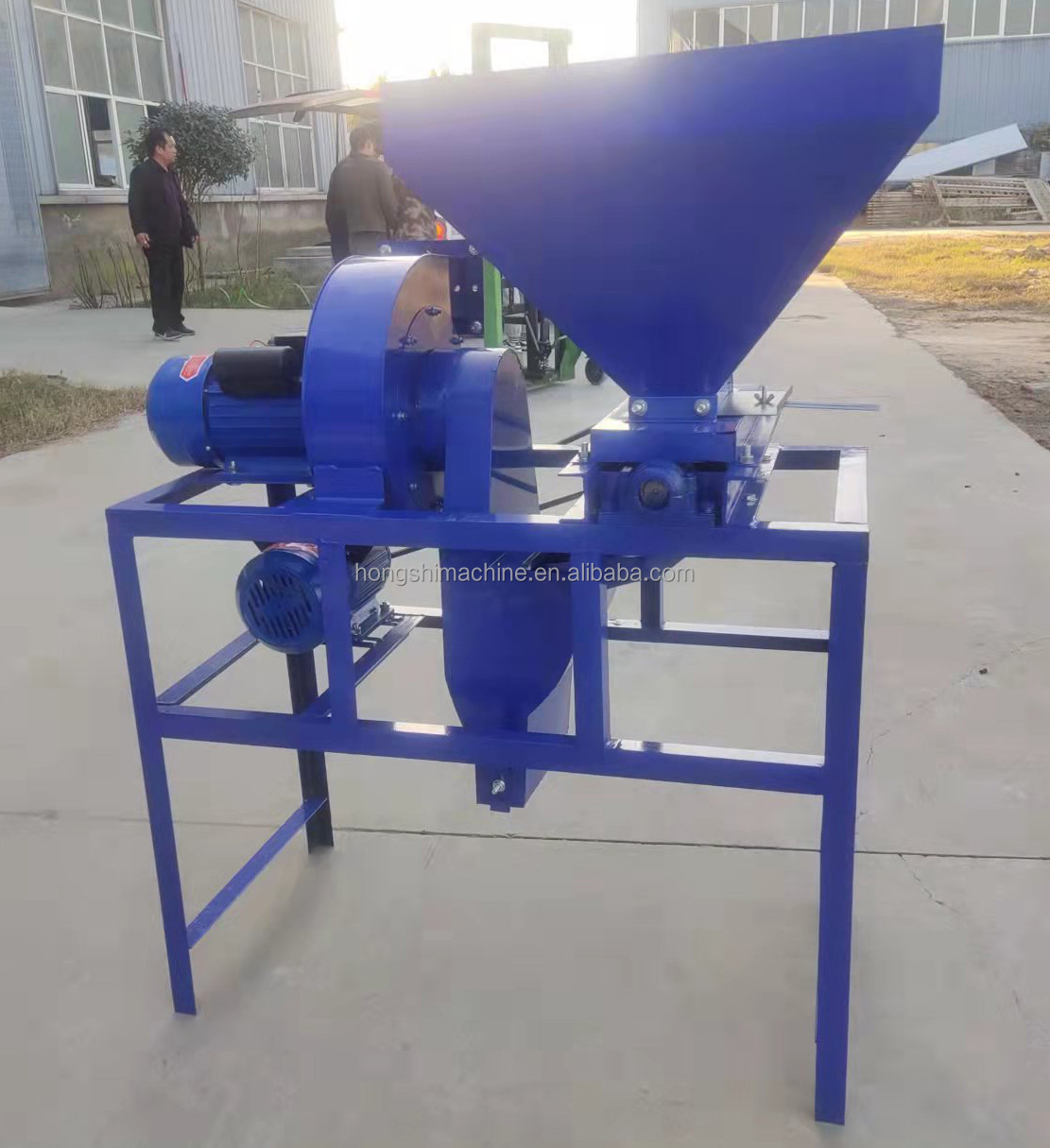 Camellia Seed Shelling Sorting Automatic Food Processing Machine Commercial