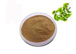 CAS 90045-36-6 Organic Dry Leaves Ginkgo Biloba Extract Powder