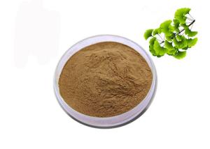 China CAS 90045-36-6 Organic Dry Leaves Ginkgo Biloba Extract Powder factory