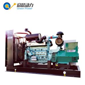 China Biogas Generator 100KW factory