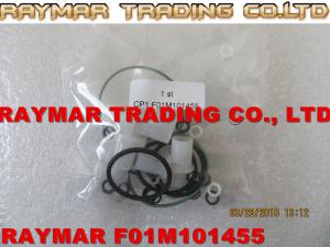 China BOSCH CP1 Common rail fuel pump repair kit, seal kit F01M101455 factory