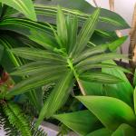 Natural Wood Artificial Landscape Trees Lily Bamaboo For Home Decor Evergreen No