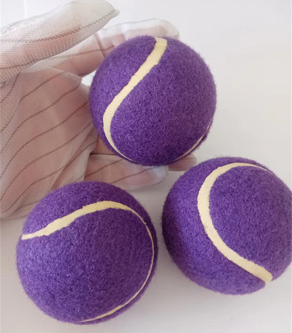 Squeaky Tennis Balls for Large or Small Dogs and Puppies - Dog Training Toys for Positive Reinforcement