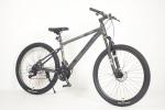 Adult 2 Wheel Womens 20 Inch Mountain Bike Full Suspension