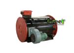 10kw 20kw 50kw 100kw 220v Low Rpm Permanent Magnet Generator For Waterproof