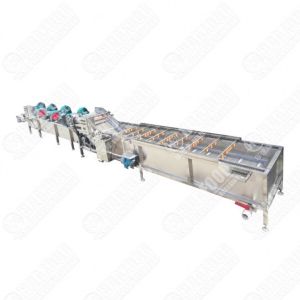 Commercial Avocado Washing Sorting Machine Avocado Waxing Sorting Machine