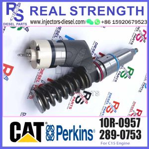 China 10R-0957 10R-0957 Diesel Fuel Injector For Engine C15 C16 3406E factory