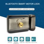 Electronic Remote Control Wireless Rim Waterproof Smart Locks