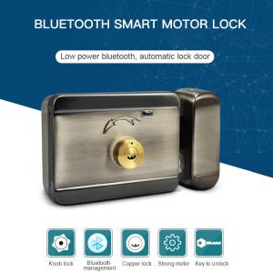 China Electronic Remote Control Wireless Rim Waterproof Smart Locks factory