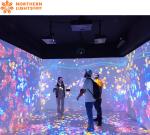 3d Art Textured Wall Psychological Treatment Room Indoor Immersive Projector
