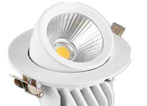 China Corridor Creative Luminous Flux 770lm 3w 12w LED Ceiling Spotlight factory