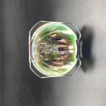 UHP430W DX5630 DU5671 Vivitek Projector Bulb