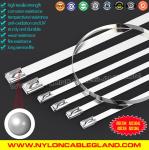 SS316L, SS316, SS304 Uncoated Stainless Steel Ball-lock Cable Ties, Self-locking