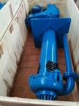 Vertical Semi-Submersible Slurry Sump Pumps For Coal Washing