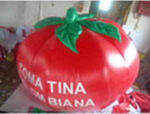 China Big size tomato inflatable helium balloon factory