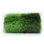 Disease Resistant Artificial Football Turf 16.5 Stitches 8000-15000 Dtex