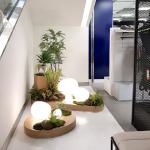 22*16cm Artificial Landscaping Plants With Lighting Courtyard Decoration