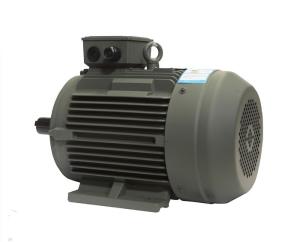 China YE3 1.5kw 2hp 2p 3 Phase Asynchronous Motor Induction Motor Efficiency Standards factory