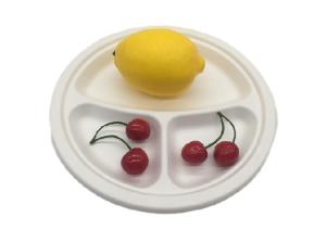 China 9&quot; Biodegradable Sugarcane Bagasse Plates factory
