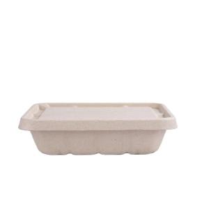 China 100 Percent Biodegradable Disposable Cutlery Bagasse Sugarcane Takeaway Paper Lunch Box factory