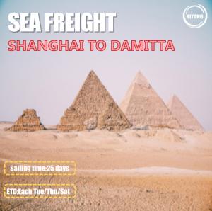 China 3 Shifts / Week Global Sea Freight Logistics Shanghai To Damitta Egypt Direct Sailing factory