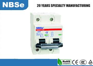China IEC60947-2 TUV 100A 2 Pole DC Industrial Type Circuit Breaker factory