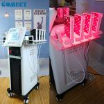 Weight Loss Lipo Massage Machine , Diode Laser Slimming Machine With 8 Paddles