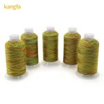 Rainbow Sewing Thread 100% Spun Polyester For Diy Cross-Stitch