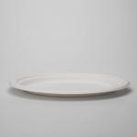 PFAS Free Disposable Eco-friendly Sugarcane Bagasse Large Oval Pulp Plates