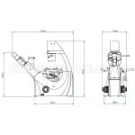 100X - 400X Inverted Phase Contrast Microscopy Trinocular A19.0205