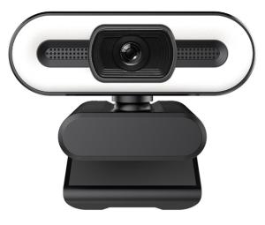China CMOS Sensor Auto Focus Webcam AF Full HD 1080p Webcam For Google Meet Xbox factory