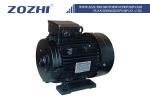 15kw 20HP Hollow Shaft Three Phase AC Induction High Pressure Washer Motor