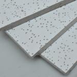 Waterproof Fiber Slab Mineral Wool Ceiling Plate For Sound Absorption
