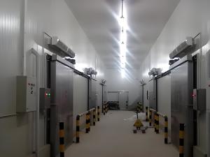 China Durable Bitzer Cold Room Freezer With Digital Temperature Controller factory