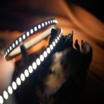 120LEDs/M 2835 SMD LED Strip Light IP20 DC24V 10mm For Indoor Decoration