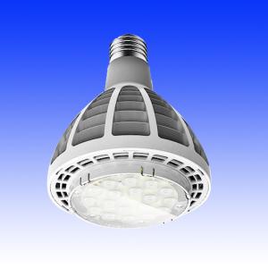 China 30 watt led Spot lamps |LED Par lamps| LED Ceiling lights |Indoor lighting factory