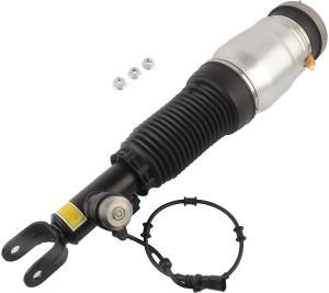 China 546063N517 Air Suspension Parts Air Suspension Strut factory
