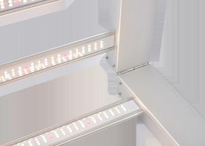China AC277V 2.5umol/J 600 Watt LED Grow Lights For Indoor Plants factory