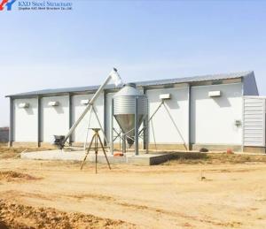 China Broiler Chicken Shed Steel Structure Prefab Steel Hen House Onsite Installation factory