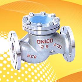 China Check Valve factory