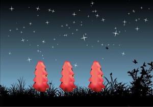 China LED Christmas tree CH-004 Rechargeable Battery,RGB Color changing,Remote control factory