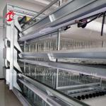 Complete H Type Automatic Layer Chicken Battery Cages 500 Birds Adela
