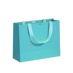 Cardboard Hand Length Handle Luxury Matte Paper Gift Shopping Bag with Custom