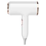 High Concentration Negative Ions Hair Dryer for Static Electricity Neutralizatio