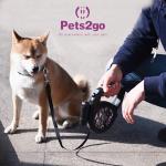Year Round Bluetooth Speaker Retractable Pet Leash