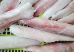 Natural Color Frozen Monkfish Tail 10 Kg Net Weight 150g - 200g Size