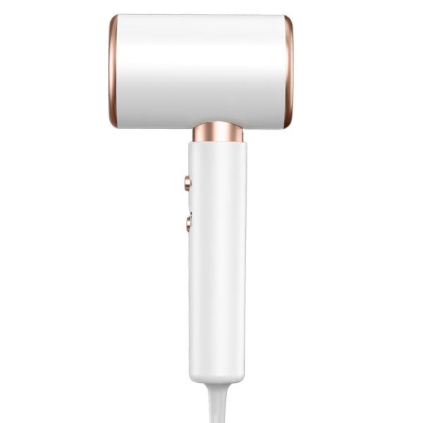 White 2000W Negative Ion Blue Light Revair Professional Salon Fast Drying Hair